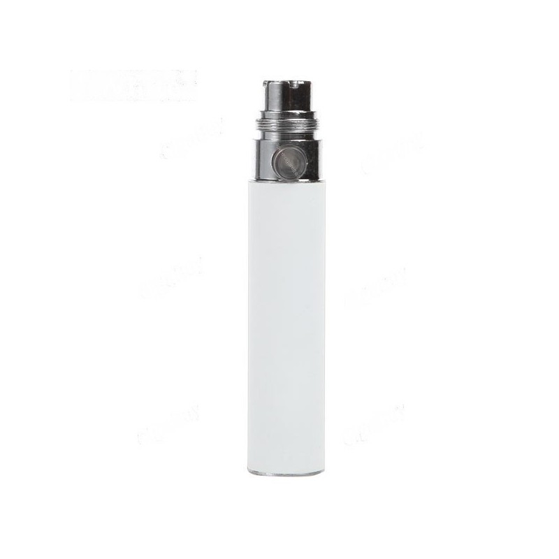 batterie ego